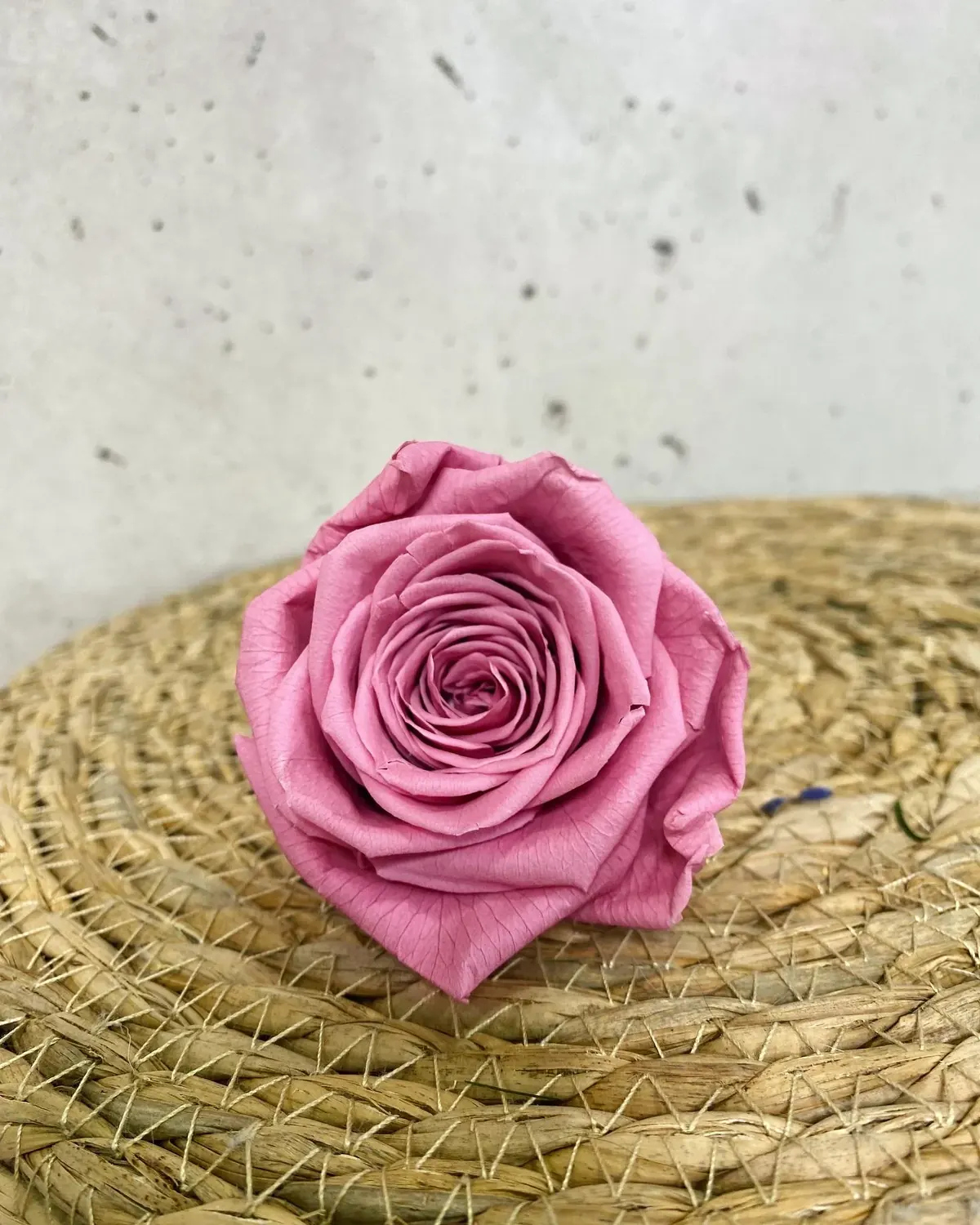 La Rosa Eterna